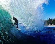 Activities in British Columbia